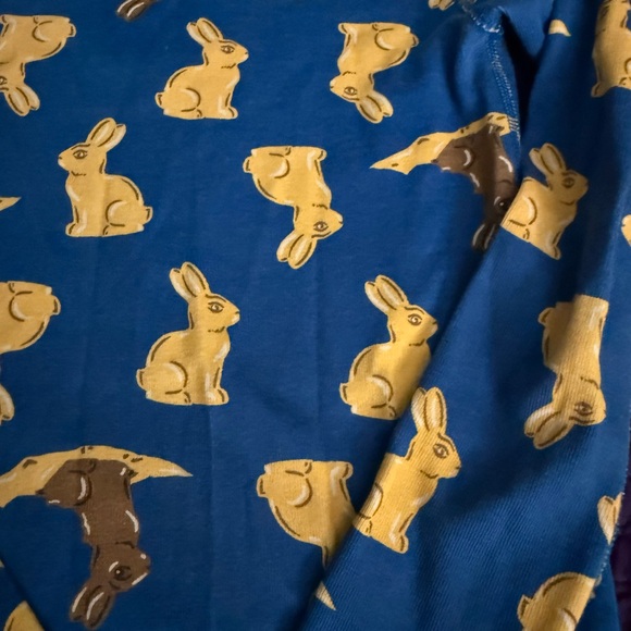 Hanna Andersson Blue Pajamas with Brown and Yellow Bunny Print 130(8) - Picture 5 of 8
